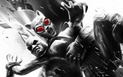 Batman Arkham City