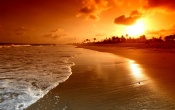 Beach Sunrise