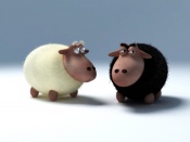 Beware the Black Sheep