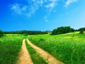 Country Road Wallpaper