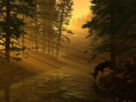Deer Wallpaper (click to view)