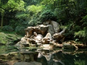 Dreaming of the Tiger