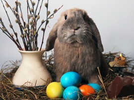 Easter Bunny Wallpaper (click to view)