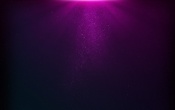 Fuchsia Light Widescreen