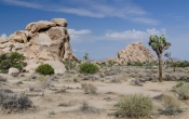 Joshua Tree National Park