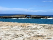 Lava Rock - Hawaii Wallpaper