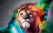 Lion Art