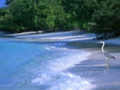 Maldive Island Wallpaper