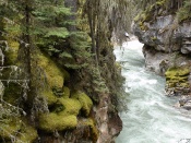 Scenic Wallpaper - Johnston Canyon
