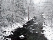 Scenic Wallpaper - Winter's Beauty