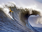Surfing Wallpaper