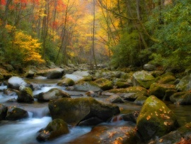 Tennessee Autumn (click to view)