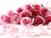 Valentine's Day Roses Wallpaper