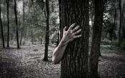 Zombie Woods